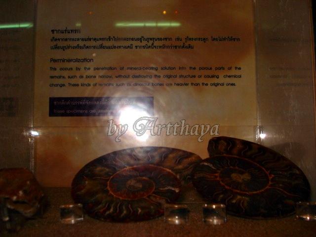 Museum232.JPG
